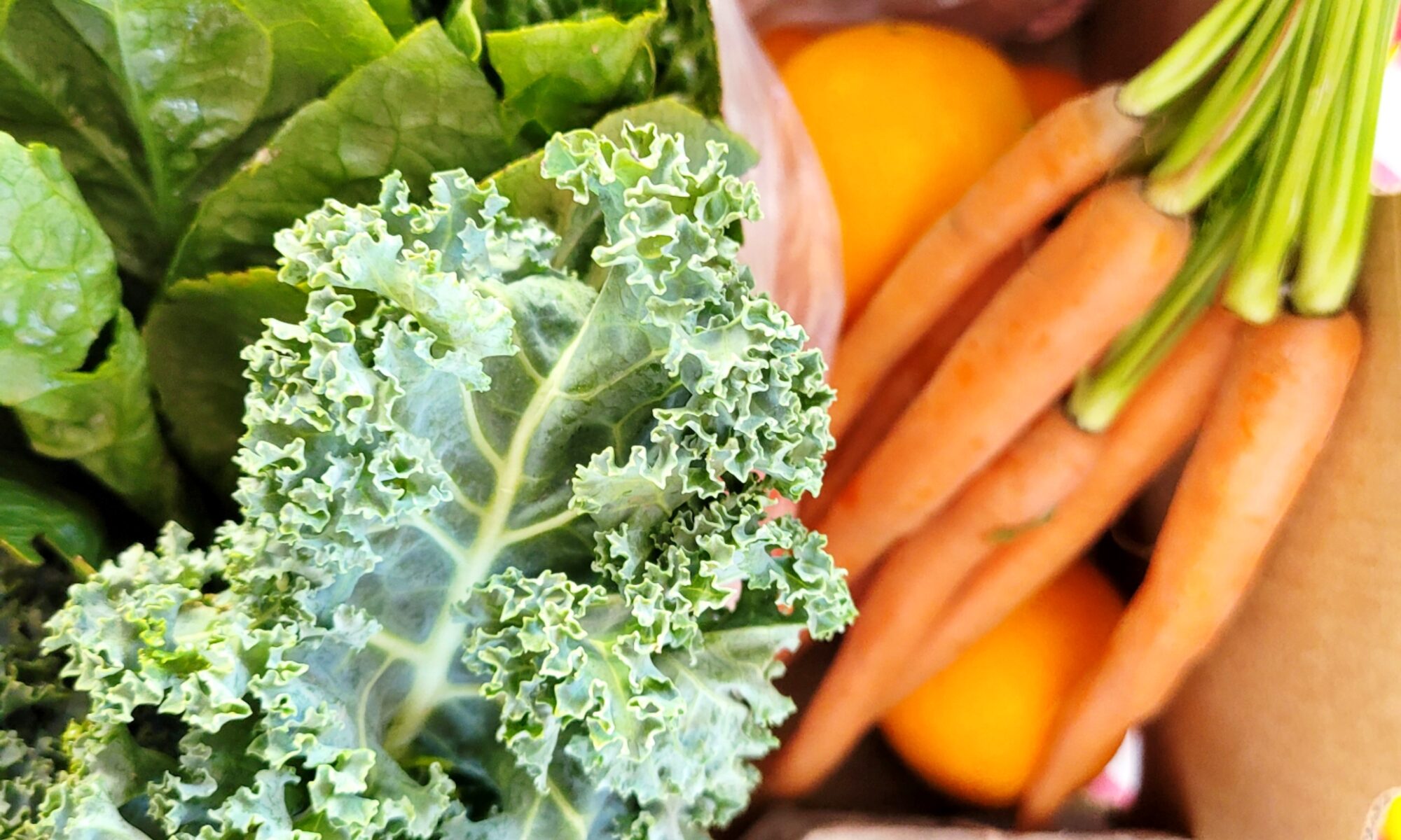 EBT at Farmers Market